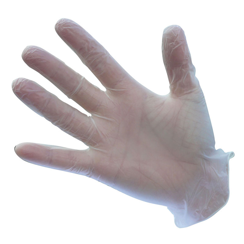 Powdered Vinyl Disposable Glove - Clear - L R